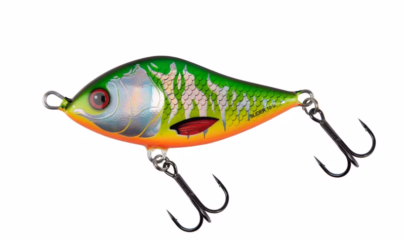 Salmo Slider Floating Holo Tiger