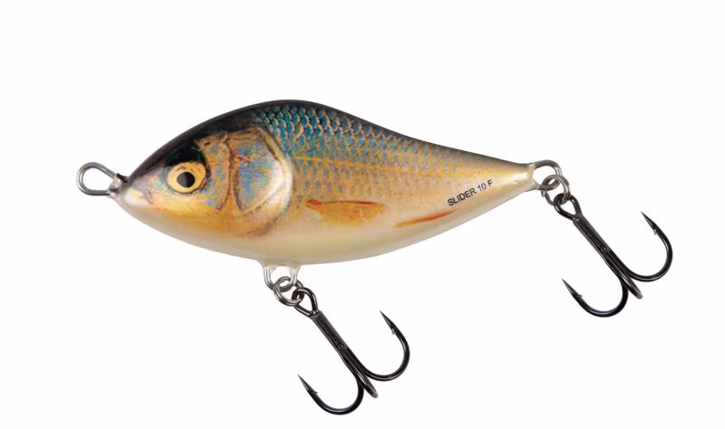 Salmo Slider Sinking Real Roach