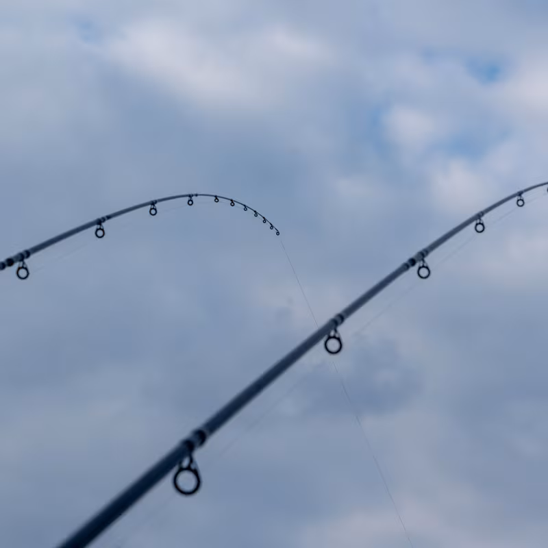 Guru A-Class 13 ft Distance Feeder Tip