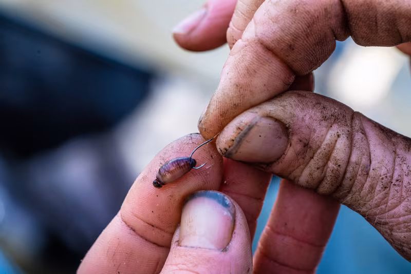 Guru Kuranku