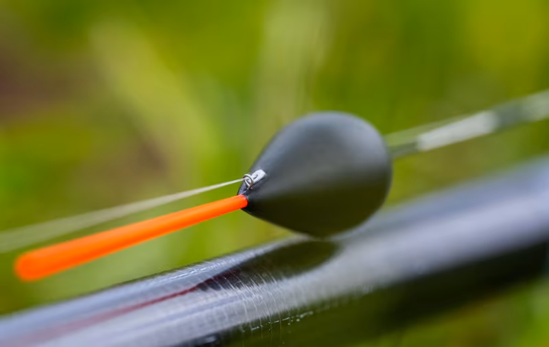 Guru Ligger Carbon