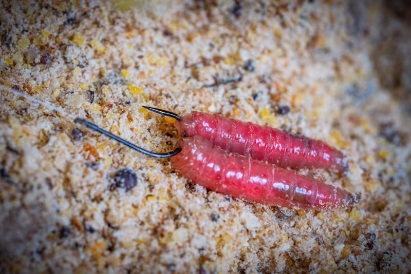 Guru Match Special hook