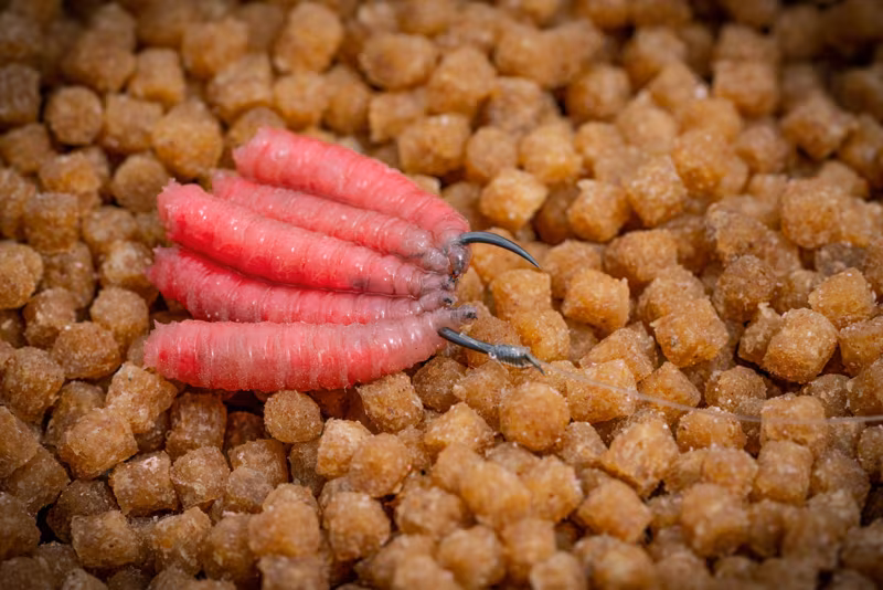 Guru Super Pellet Waggler Hook