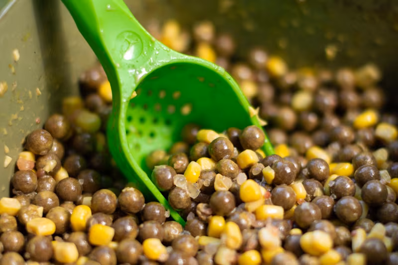 Korda Bait Scoop