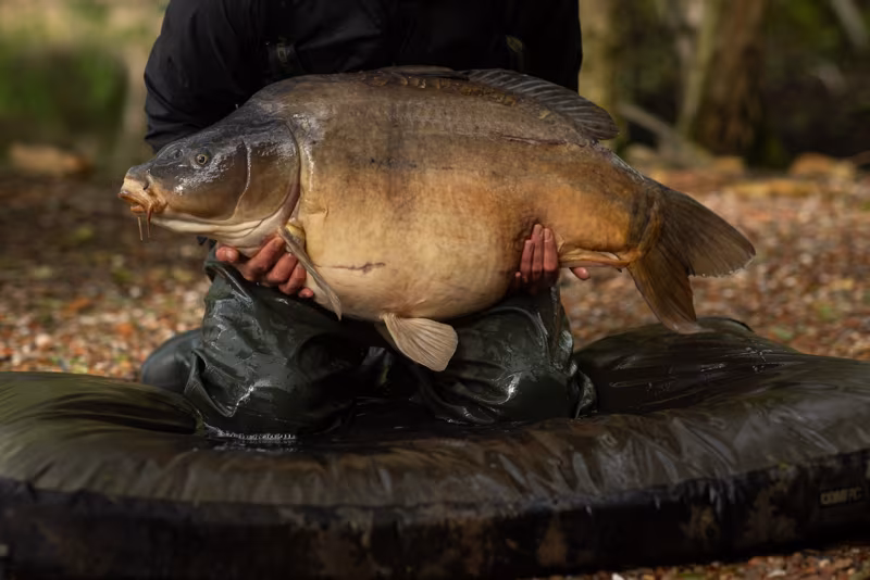 Korda Compac Hybrid Mat