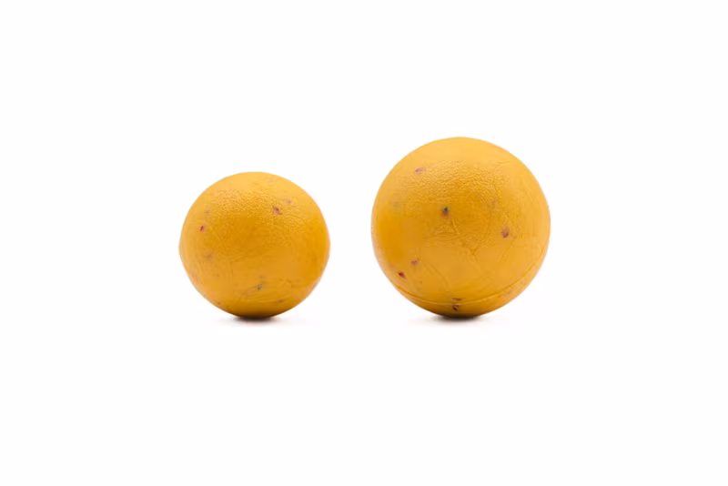 Korda Slow Sinking Boilie Essential Cell