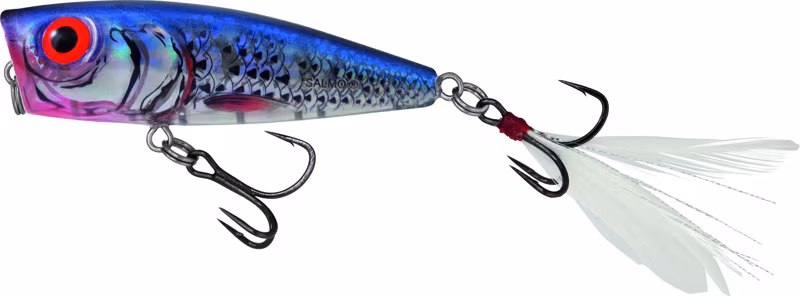 Salmo Rattlin' Pop