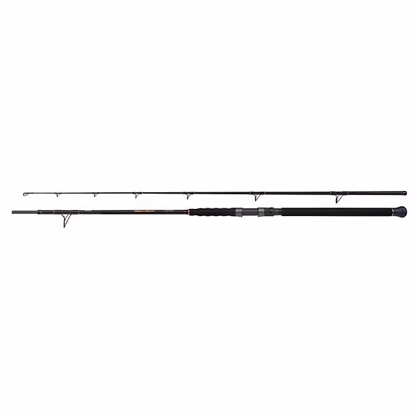 Beastmaster Catfish Multi 230cm 200g 2pc