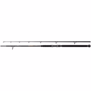 Beastmaster Catfish Multi 230cm 200g 2pc