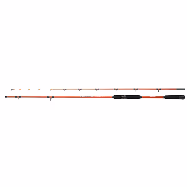 Rod Beastmaster Tataki H 2,44m 250g 2pc