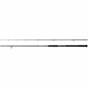Rod Currentsniper BB S100MH 3,05m 10'0" 65g JIG80g 2pc