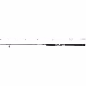 Rod Currentsniper XR S100H 3,05m 10'0" 100g JIG120g 2pc
