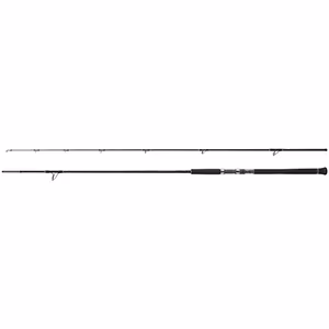 Rod Currentsniper XR S100M 3,05m 10'0" 56g JIG70g 2pc