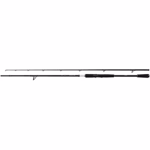 Rod Yasei BB Pike H Spin 2.20m 20-60g 2pc