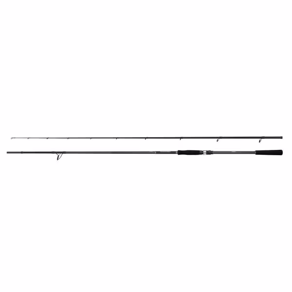 Shimano Bassterra A Power Game Spin