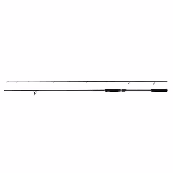 Bassterra A Power Game Spin 3,05m 10'0" 21-56g 2pc