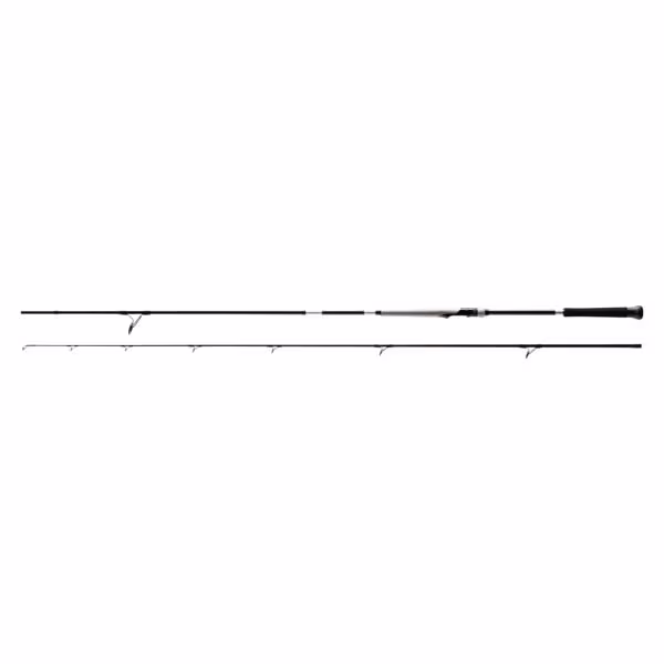 Bassterra XT+ A Shore Jigging 2,90m 9'6" 20-80g