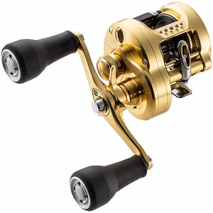 Shimano Reel Calcutta Conquest MD