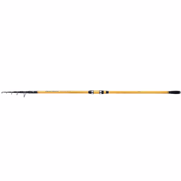 Rod Beastmaster FX Surf TE 4,20m  200g