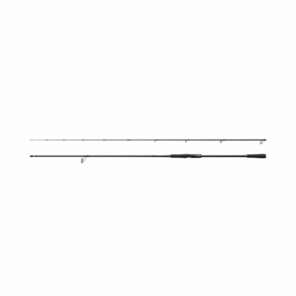 Sustain CX Spinning EVA 2,99m 9'10" 14-42g 2pc Fast