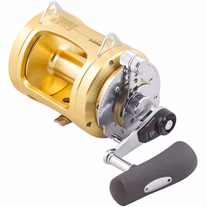 Shimano Tyrnos Multiplier