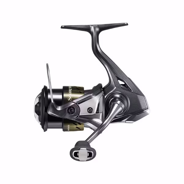 Soare BB FB C2000SS PG