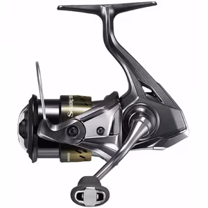 Soare BB FB C2000SS PG